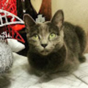 Meet your Posher, Tim